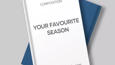 Your Favourite Season Short Composition